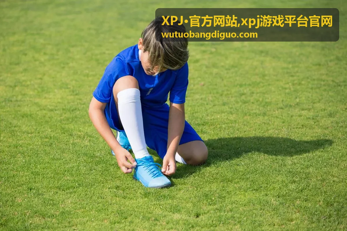 XPJ·官方网站平台指南封面图