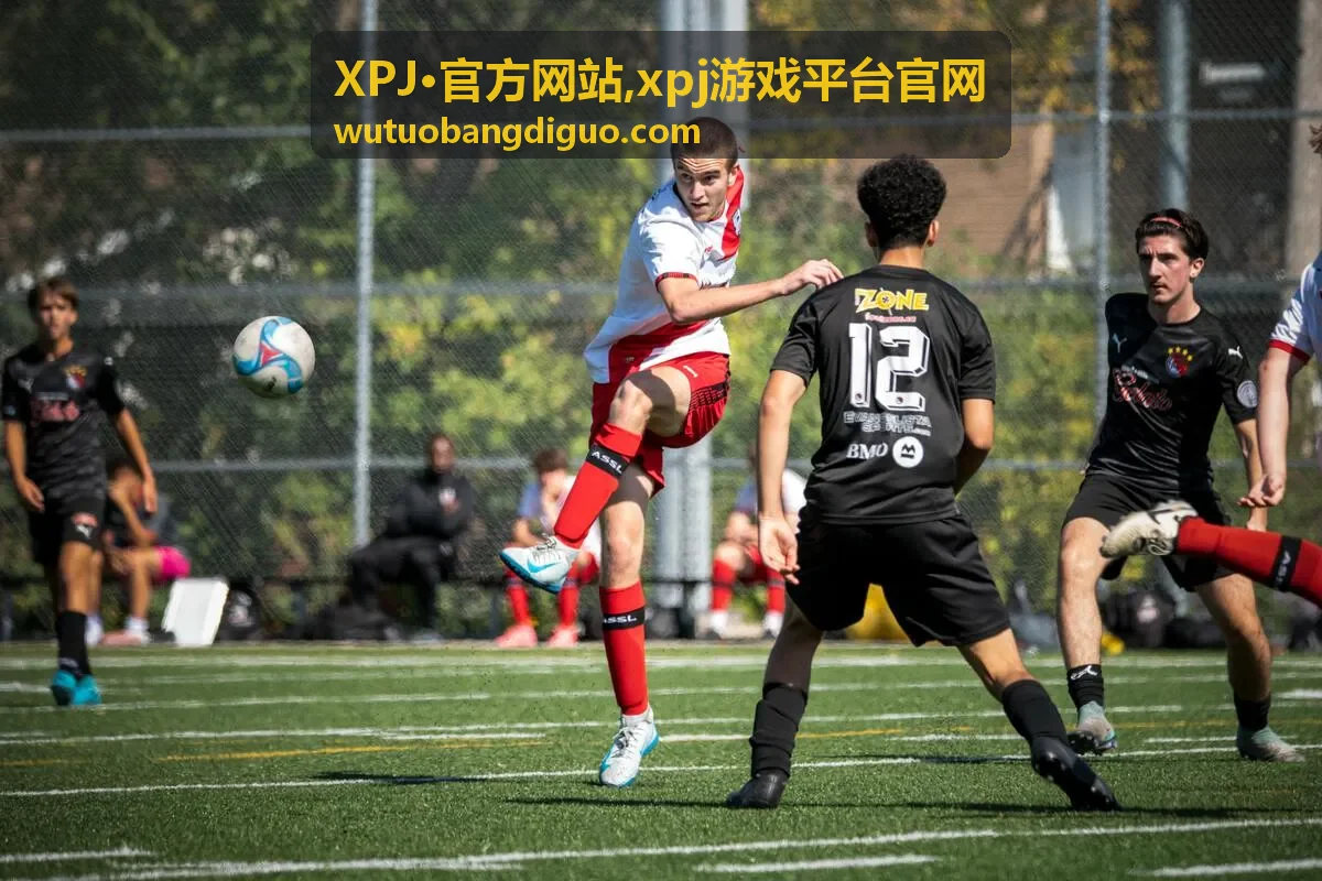 XPJ·官方网站平台服务说明配图